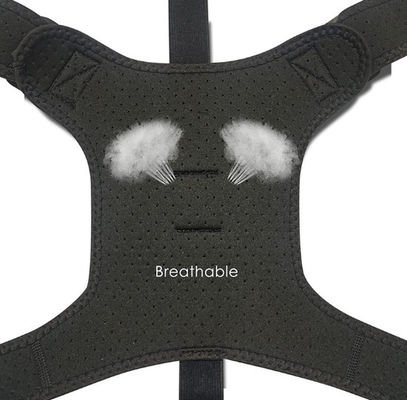 VR مصنعي الملحقات الإنتاج عبر الحدود بالجملة حزام الخصر حزام حزام مادة مريحة